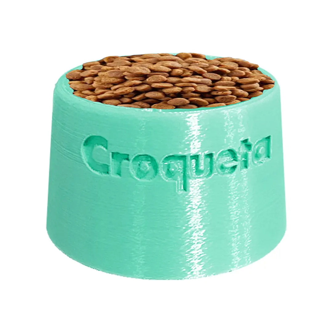 Plato Elevado De Alimento Perro/gato con Nombre Personalizable