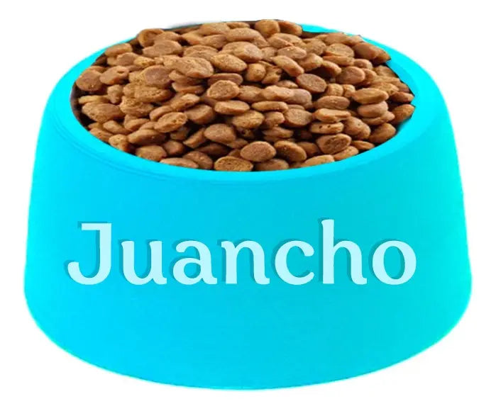 Plato Elevado De Alimento Perro/gato con Nombre Personalizable