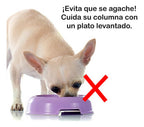 Plato Elevado De Alimento Perro/gato con Nombre Personalizable