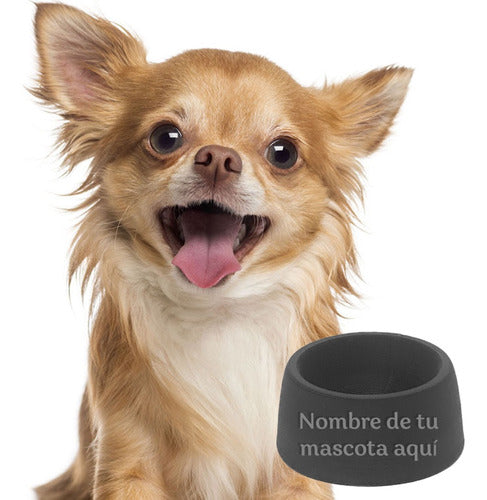 Plato Elevado De Alimento Perro/gato con Nombre Personalizable