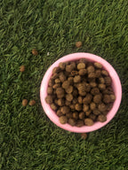 Plato Elevado De Alimento Perro/gato con Nombre Personalizable