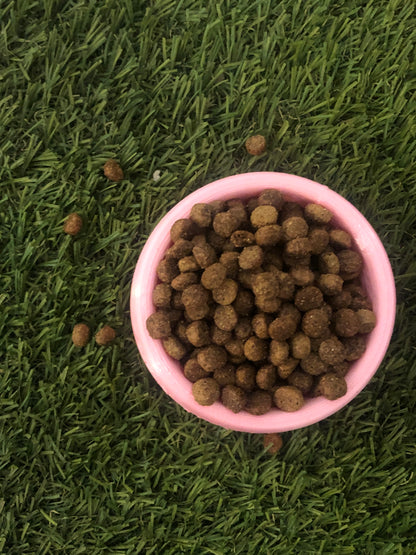 Plato Elevado De Alimento Perro/gato con Nombre Personalizable